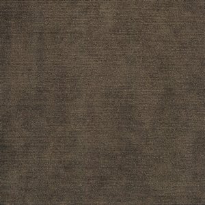 /common/images/fabrics/large/COLONY!TAUPE 113.jpg