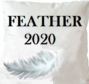 /common/images/fabrics/large/FEATHER 2020!INSERT 20X20.jpg