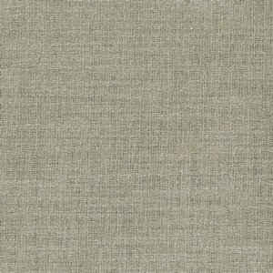 /common/images/fabrics/large/PASSION!TAUPE.jpg