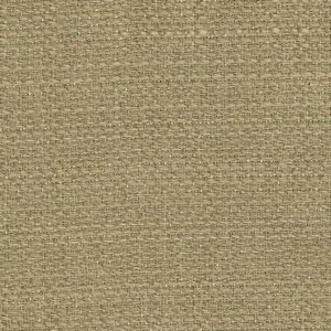 /common/images/fabrics/large/BELLAMY!PORCINI 3.jpg