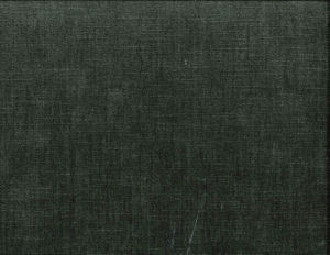 /common/images/fabrics/large/BELMONT!ANVIL 959.jpg