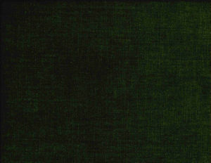 /common/images/fabrics/large/BELMONT!BASIL 390.jpg