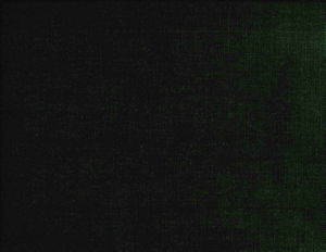 /common/images/fabrics/large/BELMONT!HUNTER 339.jpg