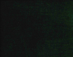 /common/images/fabrics/large/BELMONT!JUNGLE 338.jpg