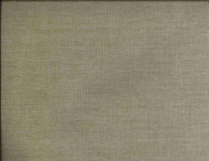 /common/images/fabrics/large/BELMONT!MUSHROOM 212.jpg