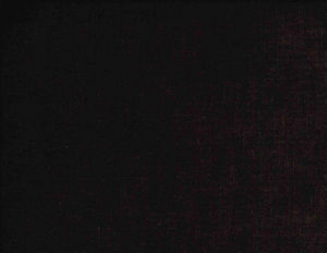 /common/images/fabrics/large/BELMONT!TRUFFLE 897.jpg