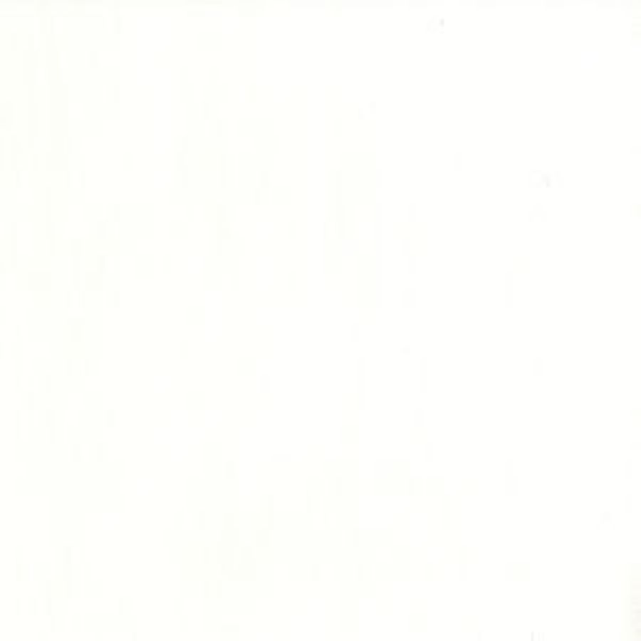 /common/images/fabrics/large/CAPITAL!MYSTIC WHITE 602.jpg