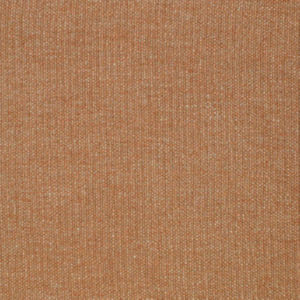 /common/images/fabrics/large/DELANO!CLAY 591.jpg