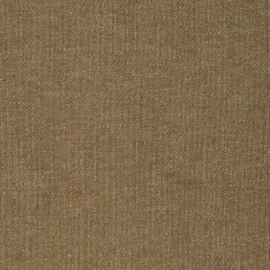 /common/images/fabrics/large/DELANO!MACCHIATO 856.jpg