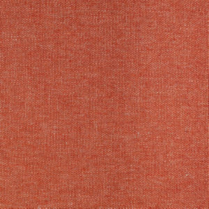 /common/images/fabrics/large/DELANO!SUMAC 598.jpg