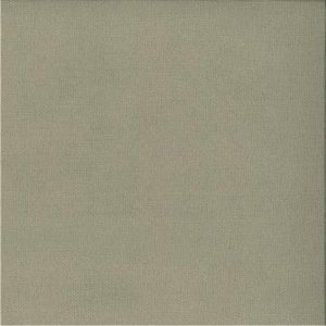 /common/images/fabrics/large/EXCEL!FLAX 222.jpg