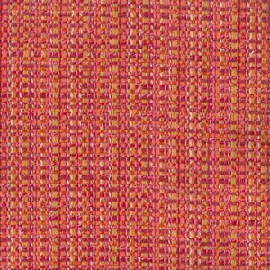 /common/images/fabrics/large/JESSE!FRUIT PUNCH 354.jpg