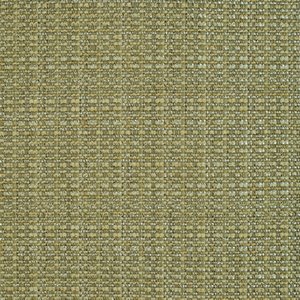 /common/images/fabrics/large/JESSE!GREEN TEA 201.jpg