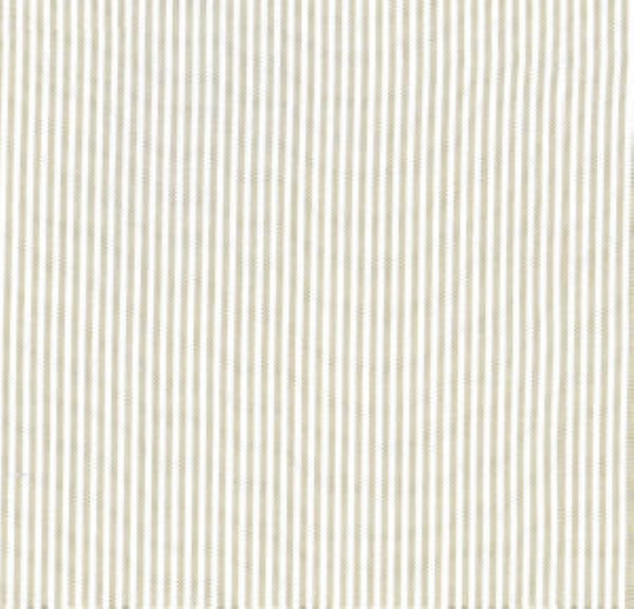 /common/images/fabrics/large/LINEAR!PARCHMENT 204.jpg