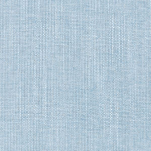 /common/images/fabrics/large/NINA!CHAMBRAY.jpg