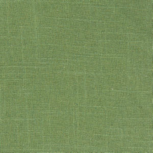 /common/images/fabrics/large/ODESSA!FERN.jpg
