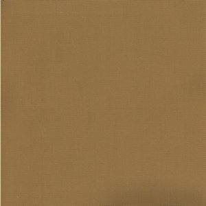 /common/images/fabrics/large/PABLO!BURNISHED BRON 693.jpg