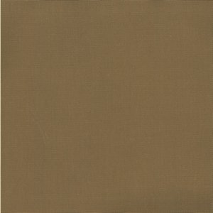 /common/images/fabrics/large/PABLO!CAPER 26.jpg