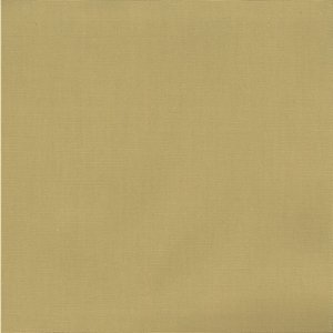 /common/images/fabrics/large/PABLO!HONEY BEIGE 1.jpg