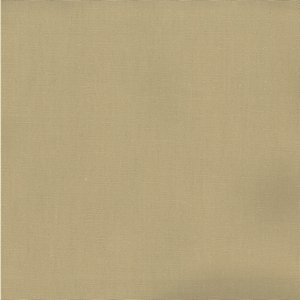 /common/images/fabrics/large/PABLO!LINEN 196.jpg