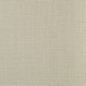 /common/images/fabrics/large/SAKARA!MUSHROOM 07.jpg