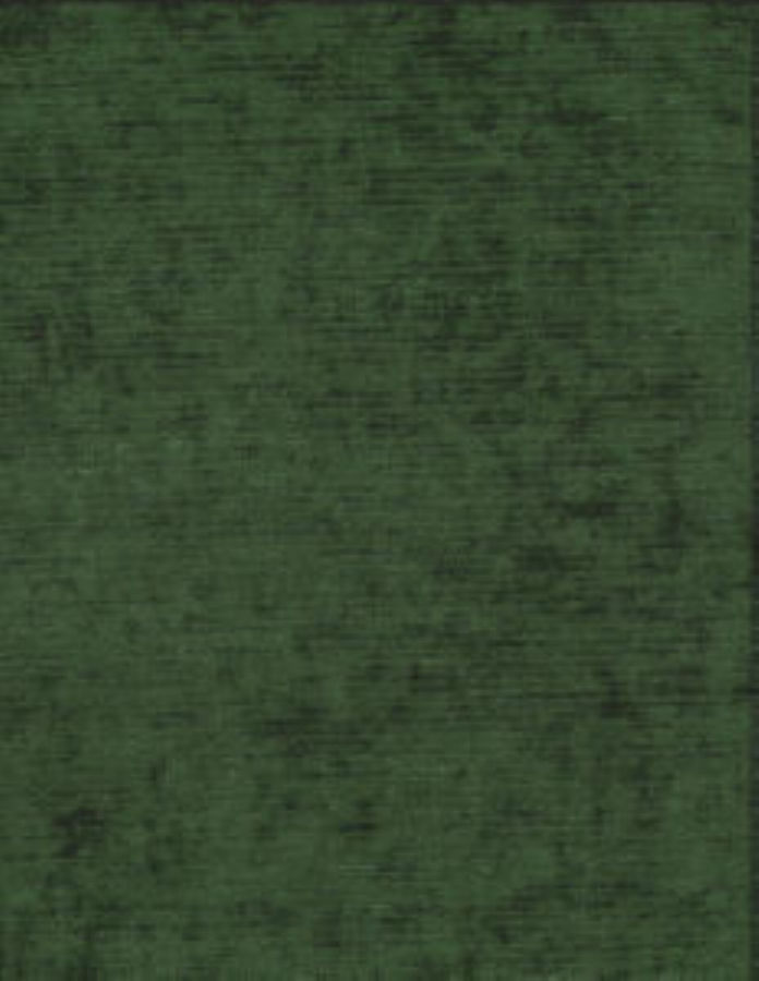 /common/images/fabrics/large/STELLA!CLASSIC GREEN 290.jpg