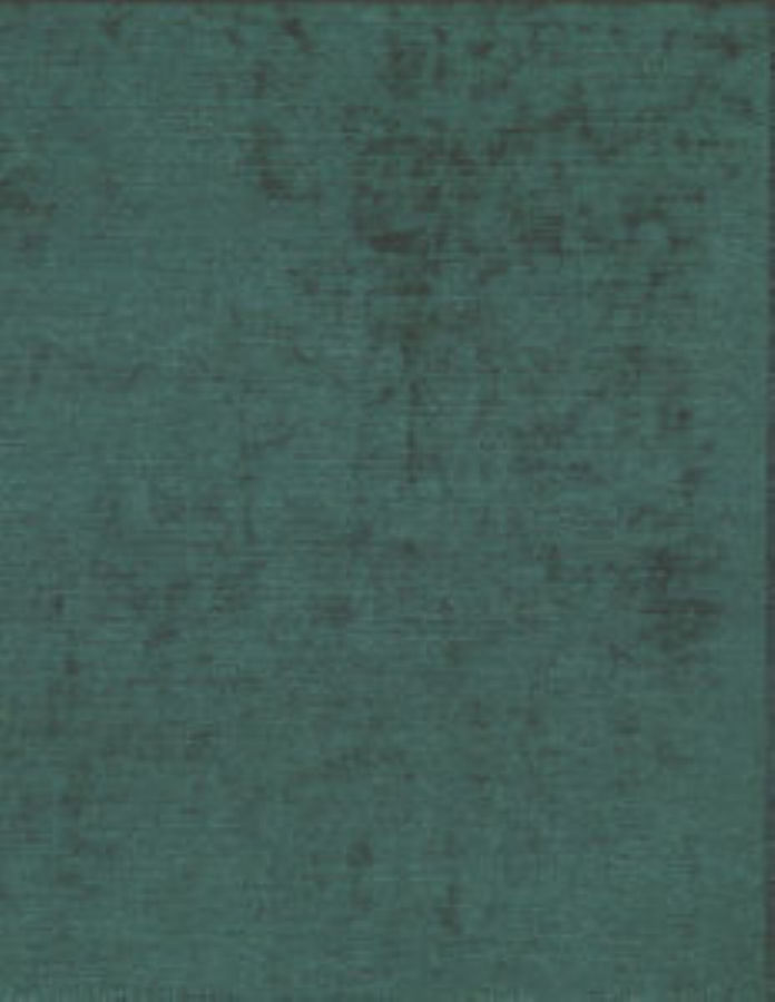 /common/images/fabrics/large/STELLA!EVERGREEN 207.jpg